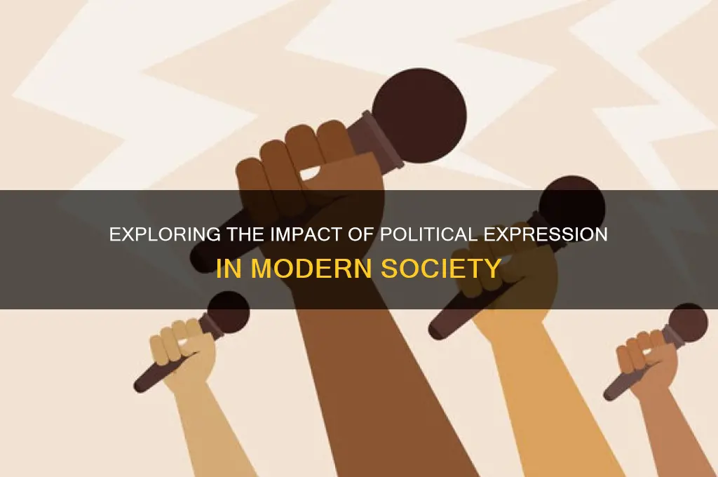 which instance of political expresio