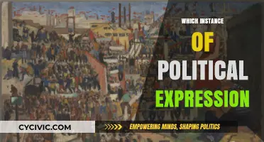 Exploring Political Expression: Forms, Impact, and Societal Influence