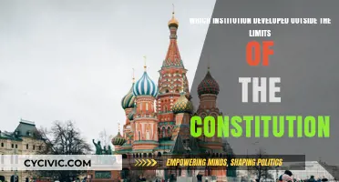 The Rise of Institutions Beyond Constitutional Boundaries