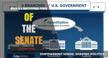 The Senate's Constitutional Powers: What You Need to Know