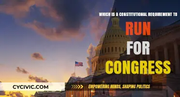 Running for Congress: Understanding the Constitutional Requirements