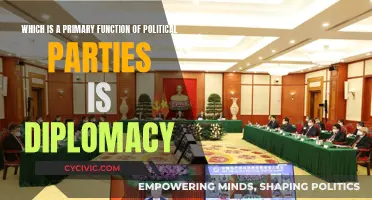 Political Parties: Diplomacy as a Core Function