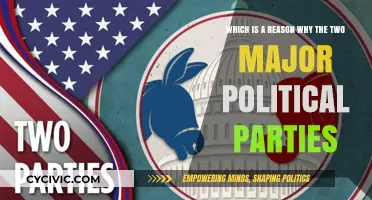 Why the Two Major Political Parties Dominate American Politics