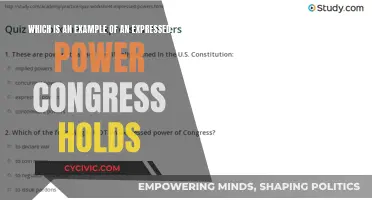Expressed Powers: Congress' Authority and Influence