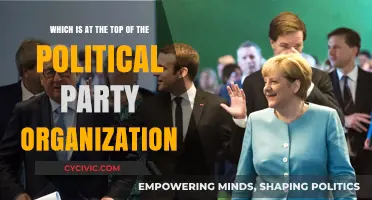 Understanding the Leadership Structure at the Helm of Political Parties