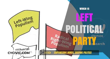 Understanding Left-Wing Politics: Which Party Represents Progressive Ideals?