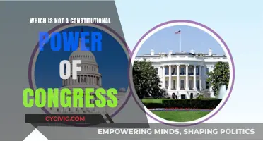 Congress' Limits: Exploring Non-Constitutional Powers