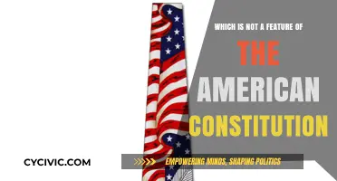 Key American Constitution Absences: What's Not There?