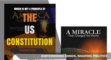 The US Constitution: Understanding Key Principles and Exclusions