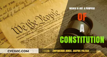 Understanding the Limits of a Constitution