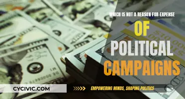 Why Political Campaigns Are Not Always Expensive