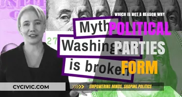 Unveiling the Misconceptions: What Doesn't Drive Political Party Formation?