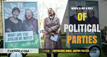 Unveiling Misconceptions: What Political Parties Don't Actually Do