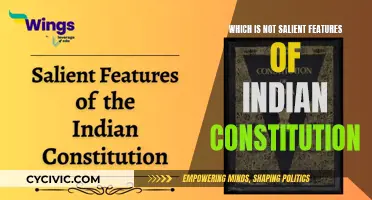 Indian Constitution: Understanding the Non-Salient Features