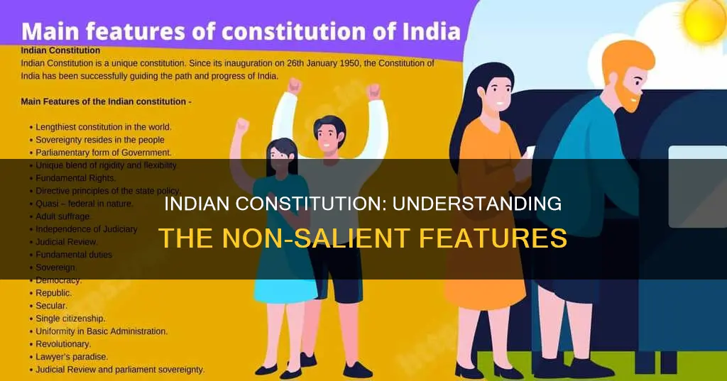which is not salient features of indian constitution