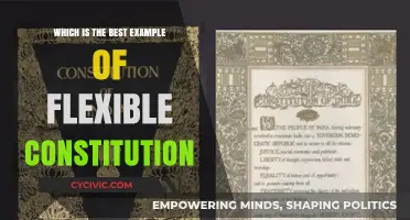 Flexibility in Action: The Best Example of a Flexible Constitution
