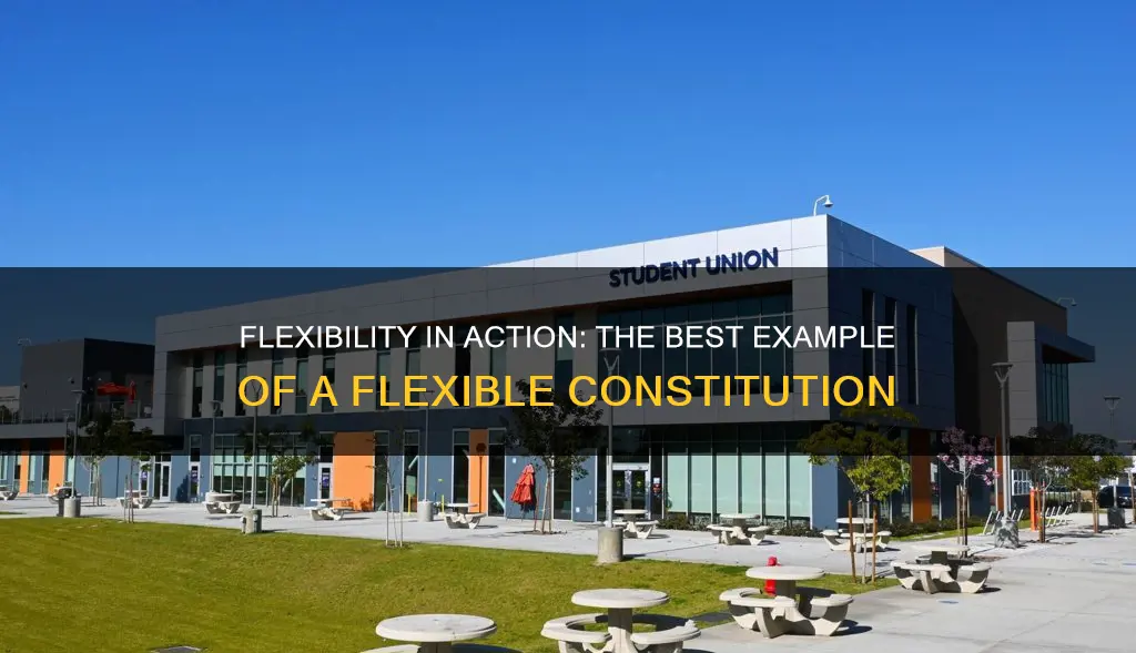 which is the best example of flexible constitution