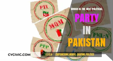 Evaluating Pakistan's Political Parties: Who Leads in Governance and Vision?