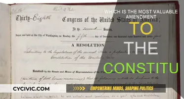 The Most Valuable Amendment: Our Constitutional Superpower