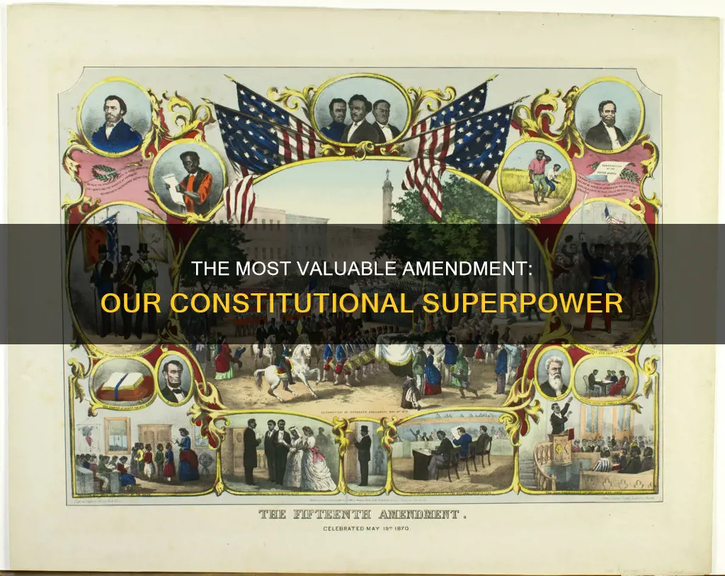which is the most valuable amendment to the constitution