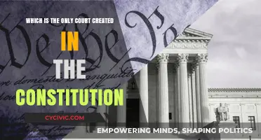 The Supreme Court: Our Founding Fathers' Vision