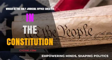 The Supreme Court: Our Founding Fathers' Vision