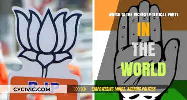 The World's Wealthiest Political Party: Unveiling Global Political Riches