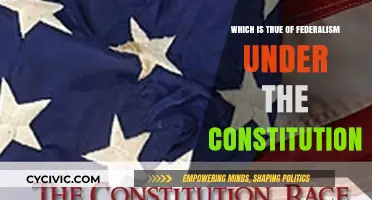 Federalism: Power Sharing Under the US Constitution