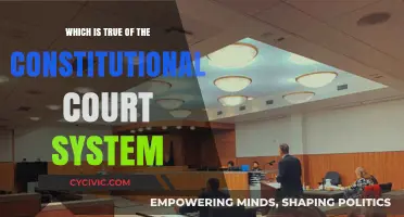 The Constitutional Court: Interpreting the Law