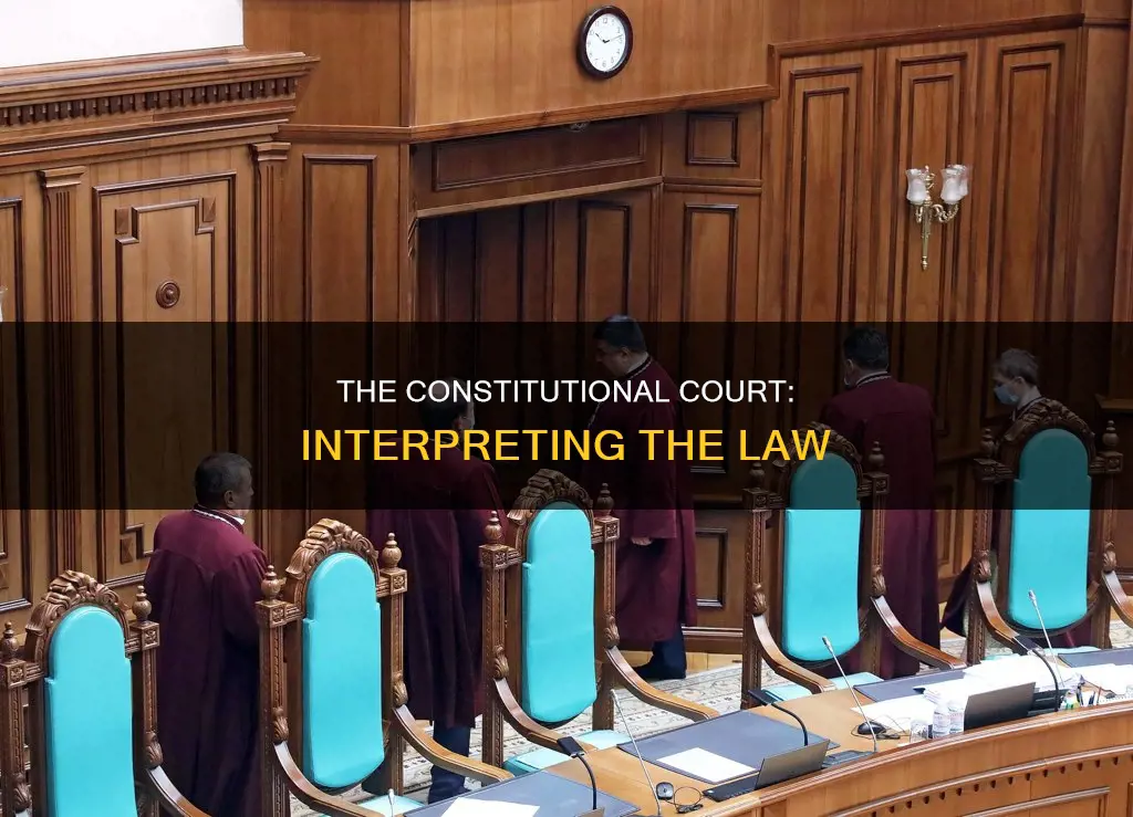 which is true of the constitutional court system