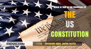 Key Provisions of the US Constitution: What's True?