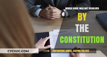 Constitution's Unresolved Issues: What's Missing?