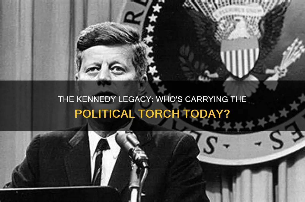 which kennedy is in politics