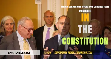 Leadership Roles: Congress and the Constitution