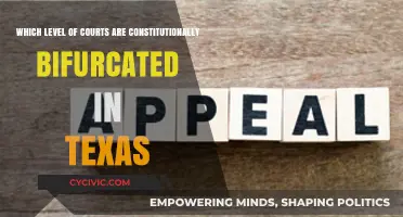 Texas Court System: A Complex Bifurcation