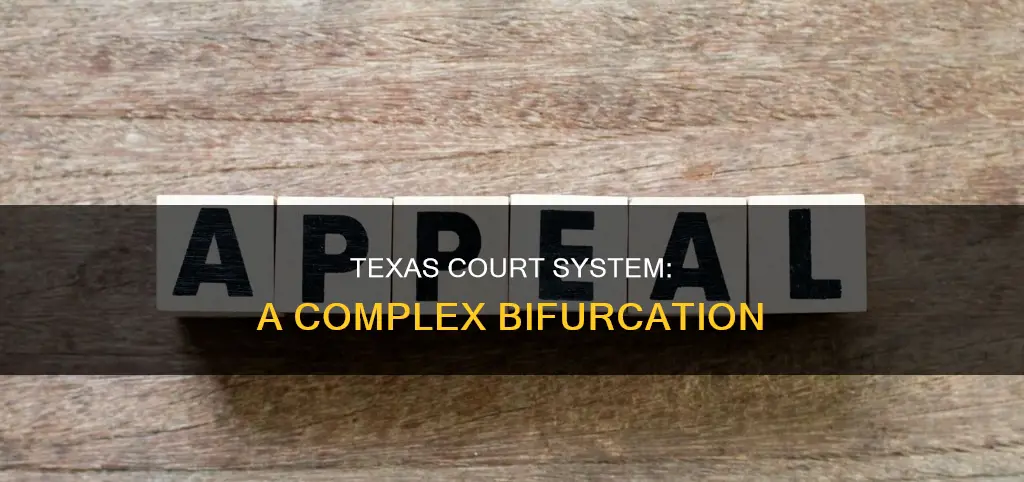which level of courts are constitutionally bifurcated in texas