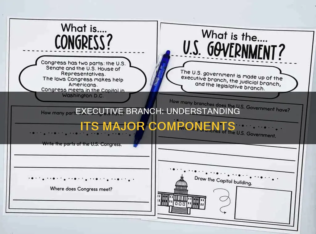 which list includes all major parts of the executive branch