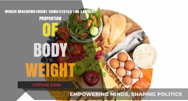 Macronutrients: What Makes Up Our Body Weight?