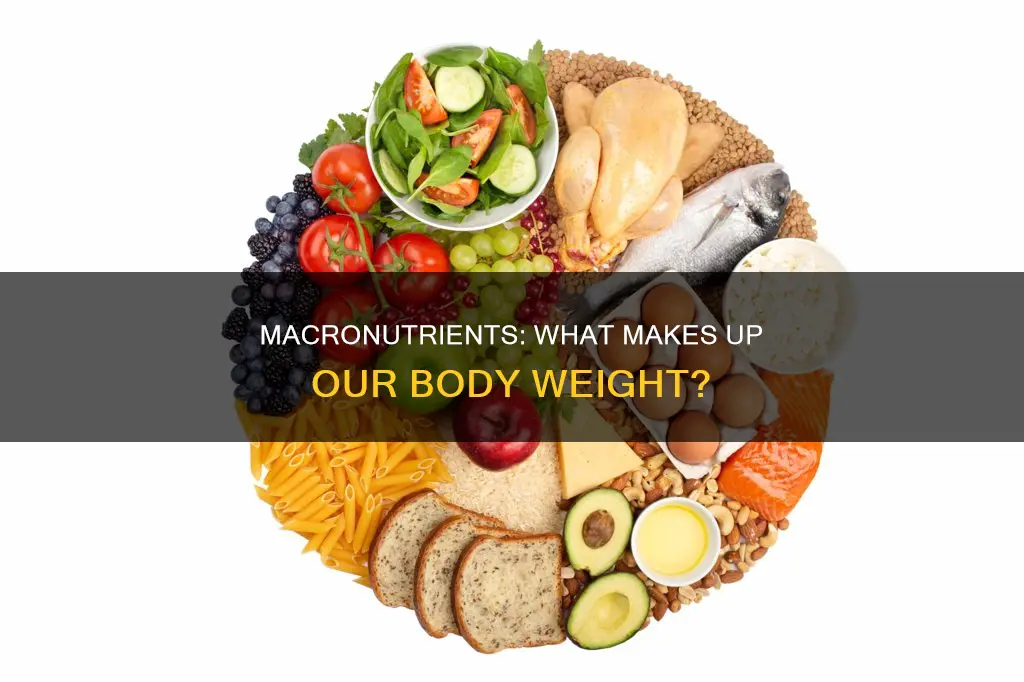 which macronutrient constitutes the largest proportion of body weight
