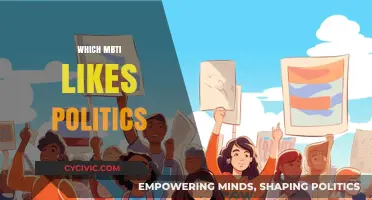 MBTI Types Most Drawn to Politics: Who Engages and Why?