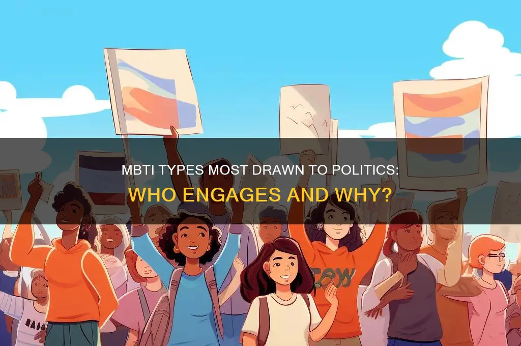 which mbti likes politics