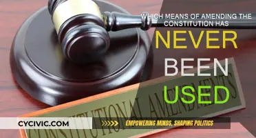 Amending the Constitution: Unused Methods
