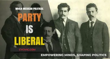Exploring Mexico's Liberal Political Party: Ideologies and Influence