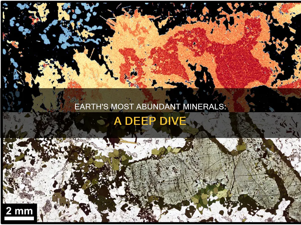 which mineral constitute the most within the earth
