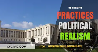 Political Realism in Practice: Nations Embracing Realpolitik Today