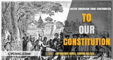 Native American Influence on the US Constitution