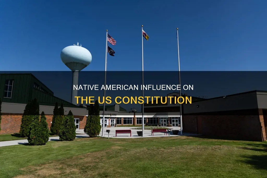 which native american tribe contributed to our constitution