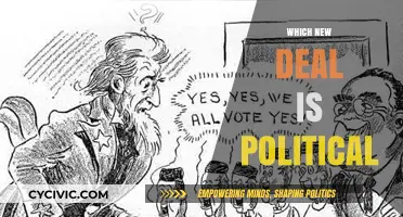 Unveiling the Political Nature of the New Deal Programs