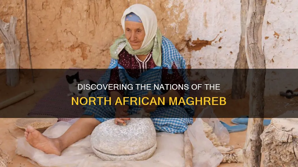 which north african countries constitute the region of the maghreb