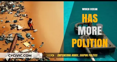 Comparing Ocean Pollution Levels: Which Sea Faces the Greatest Threat?